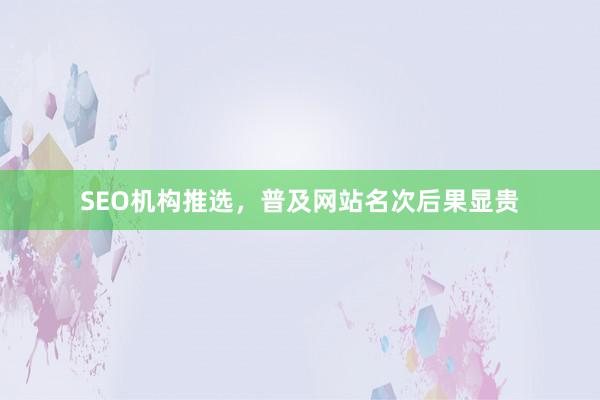 SEO机构推选，普及网站名次后果显贵